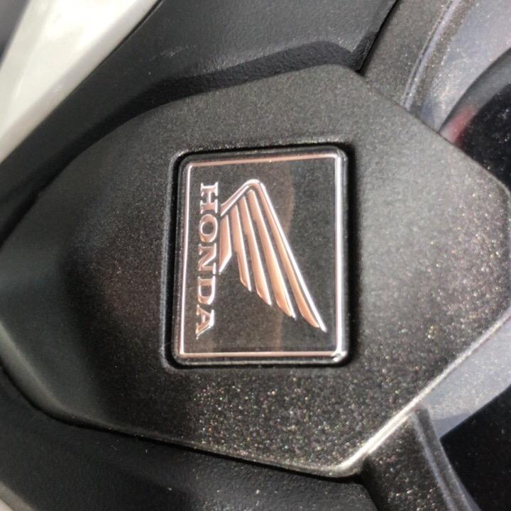 阳春汇智新大洲本田