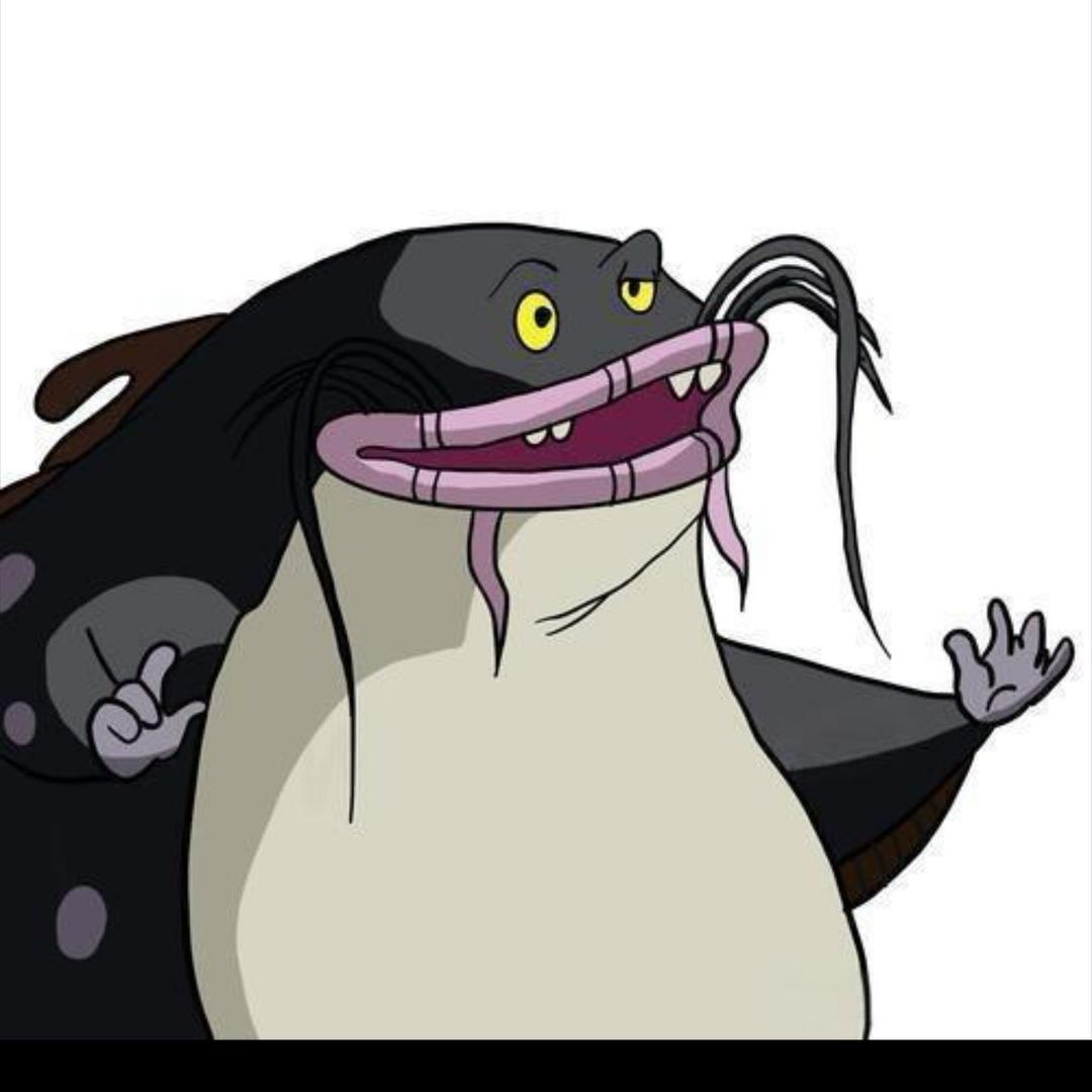 不爱聊天的大鲶鱼