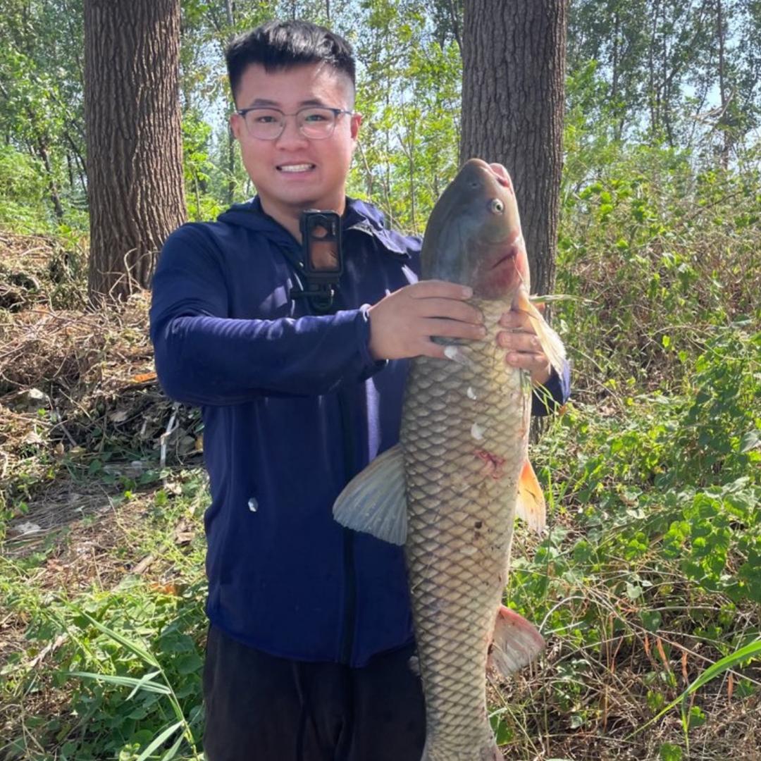小猫钓鱼