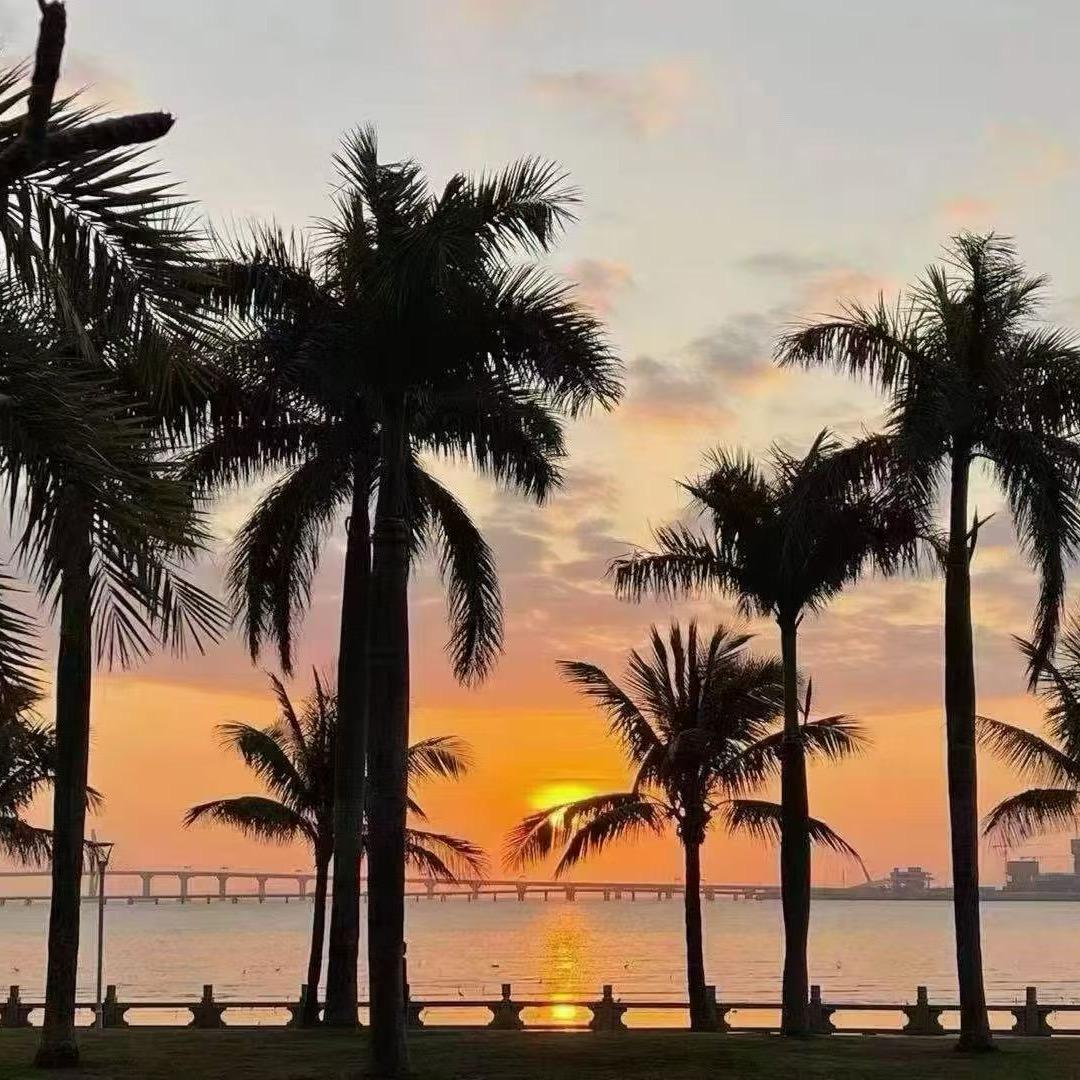 静哥选品不踩雷