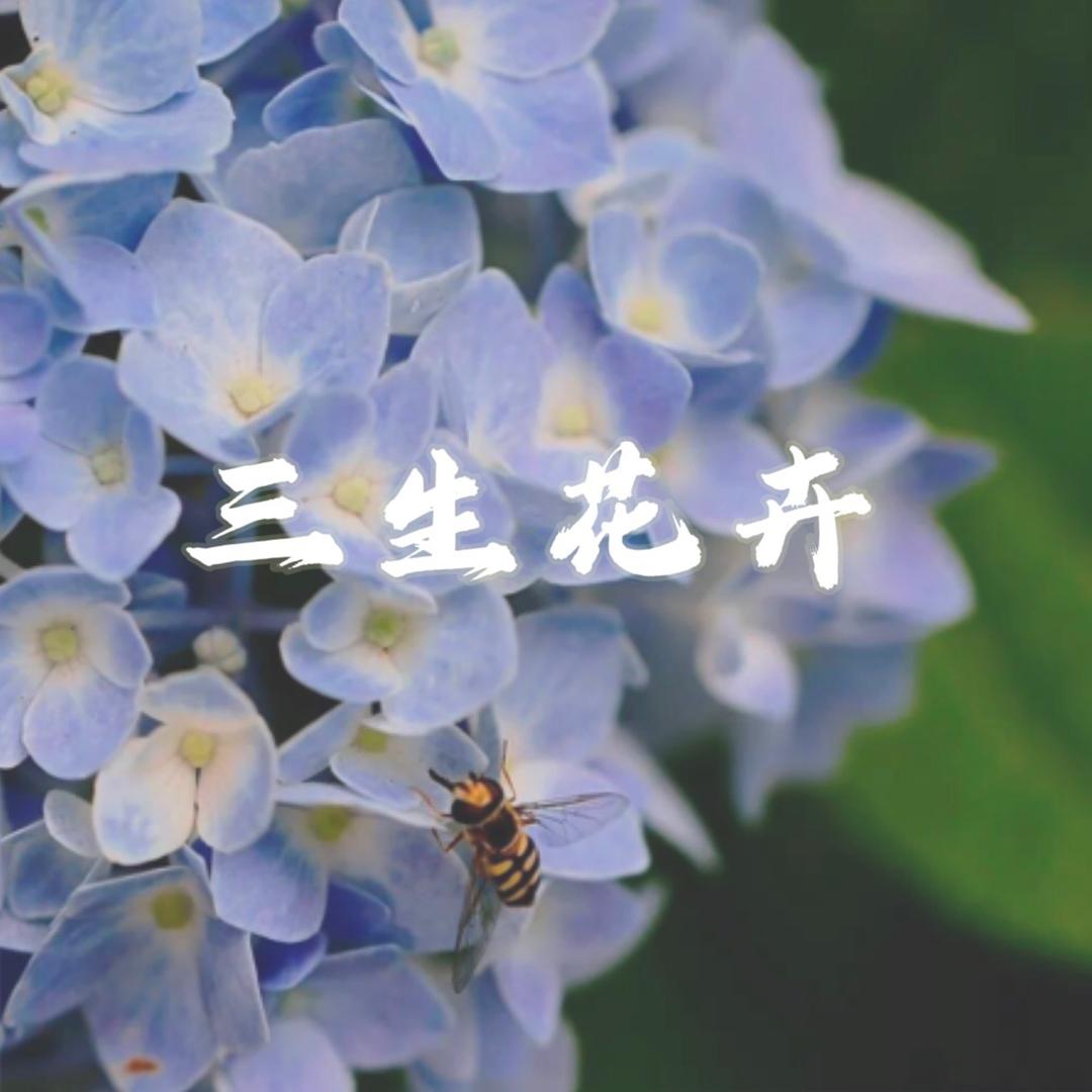 三生花卉园基地