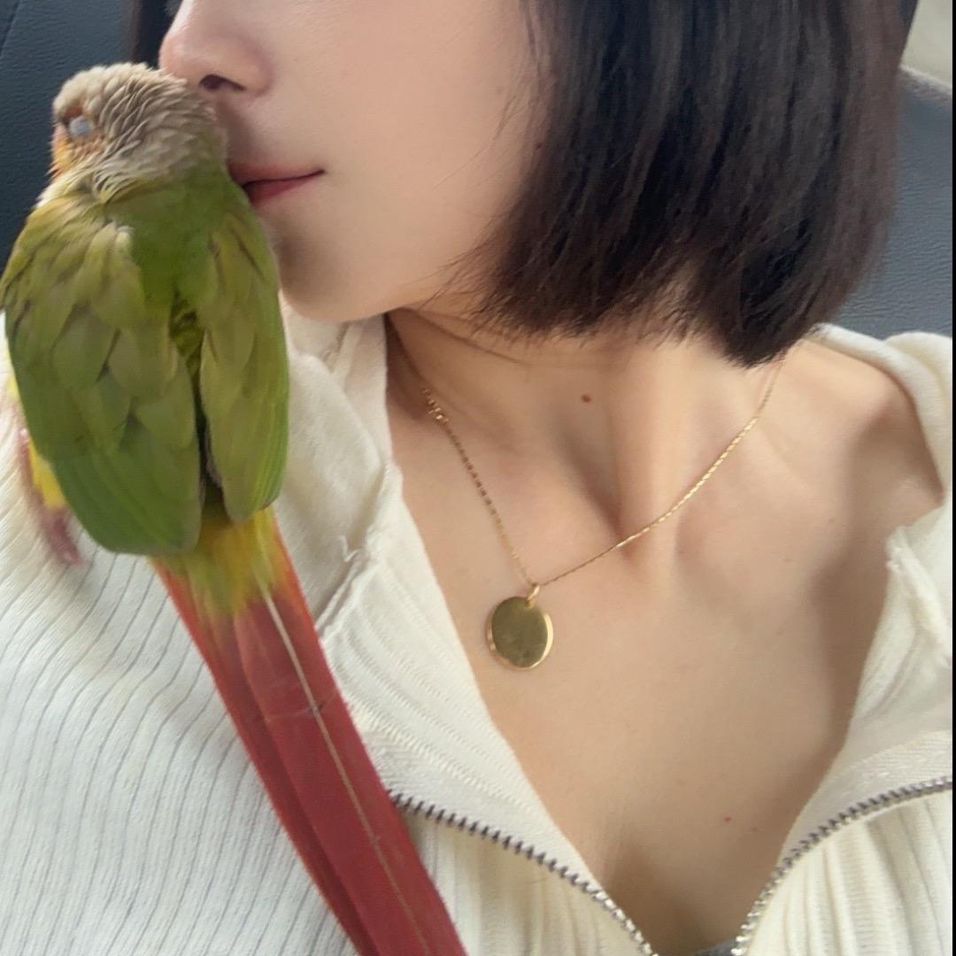 回忆