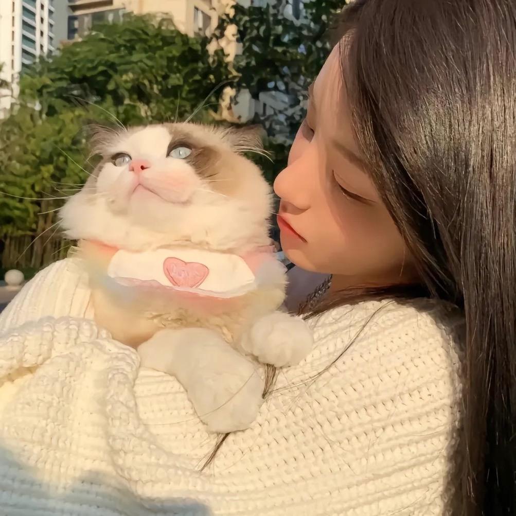 🧸ིྀ🧸ིྀ