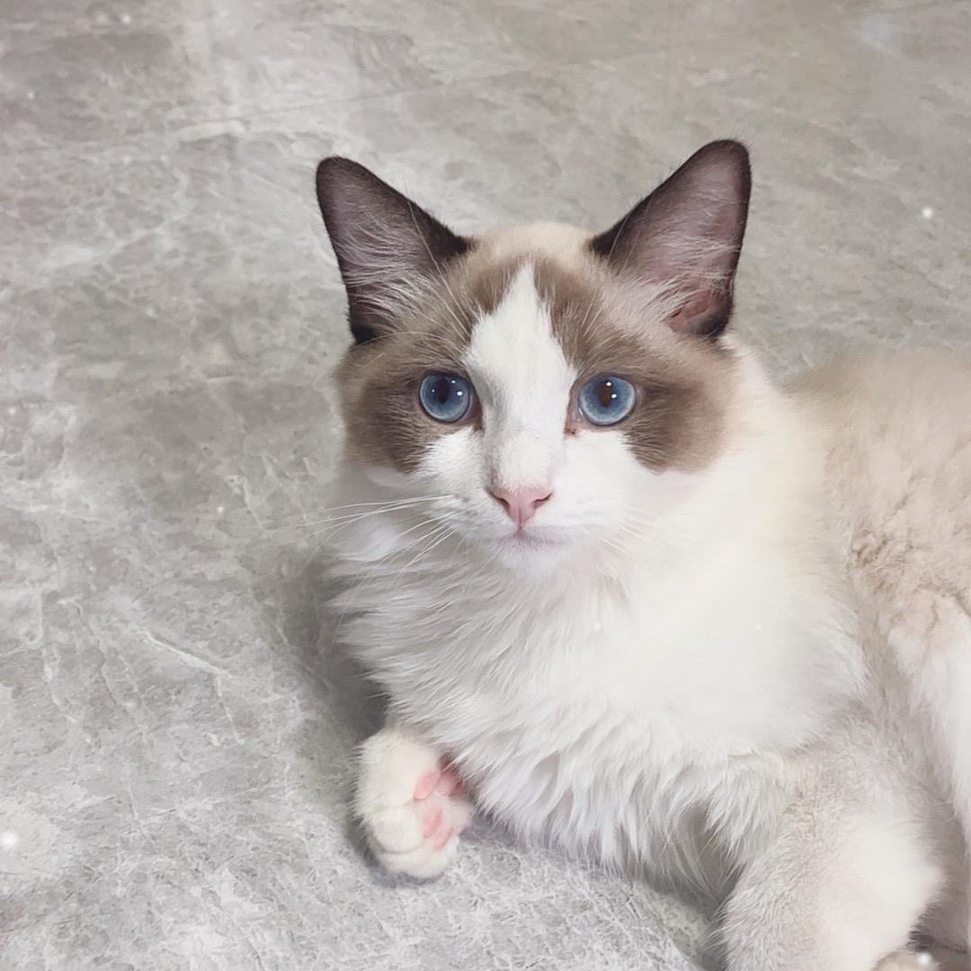 王其（无锡再见）