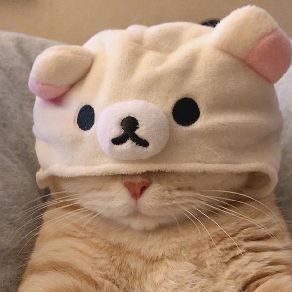 不要叫我ikun