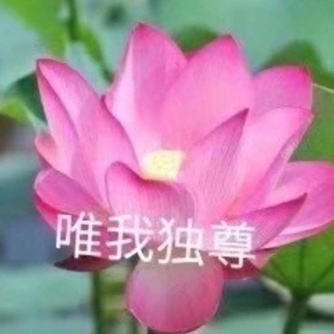 芳龄88