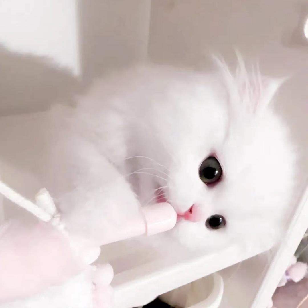 天真心绪