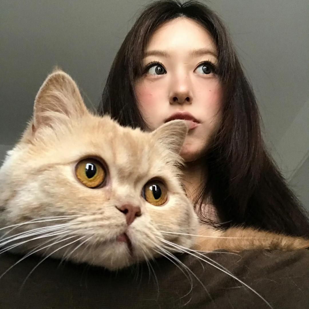 兔牙