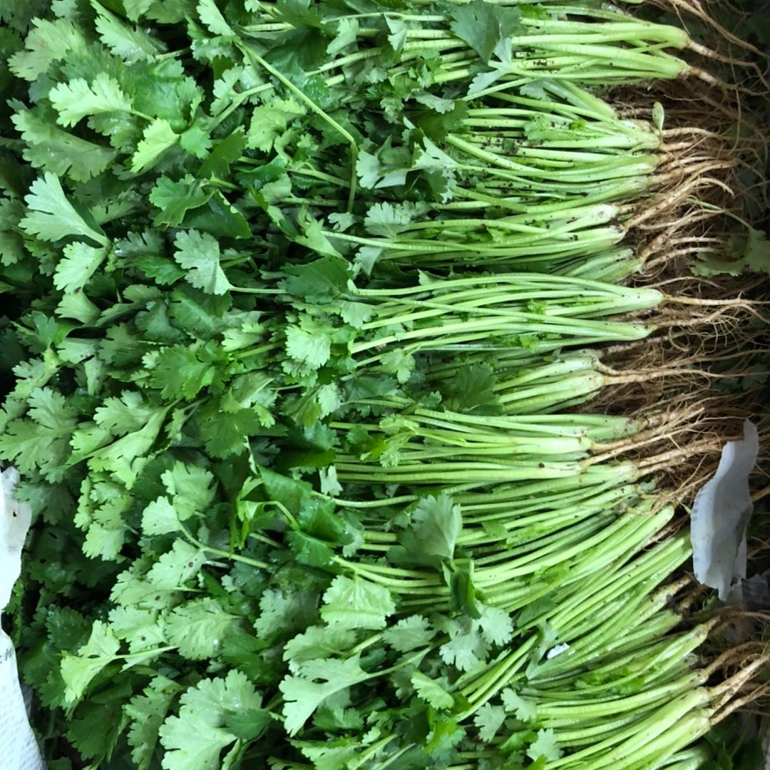 春贵蔬菜🥬