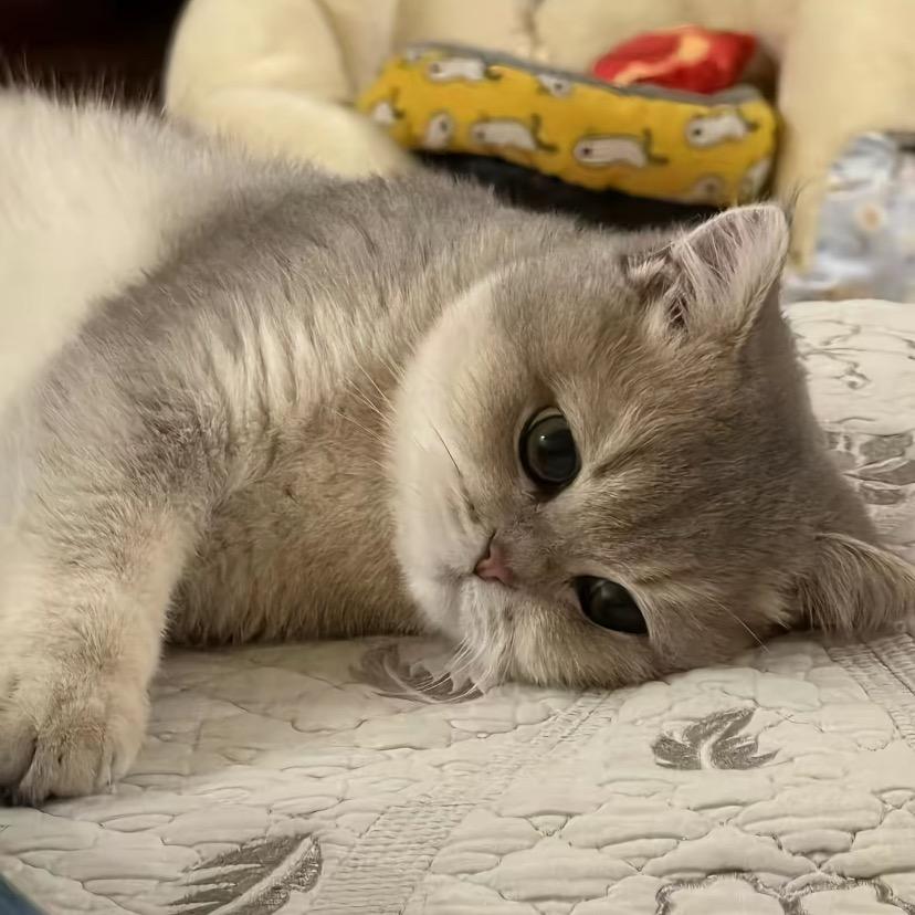 库次卡次.𝑠𝑚