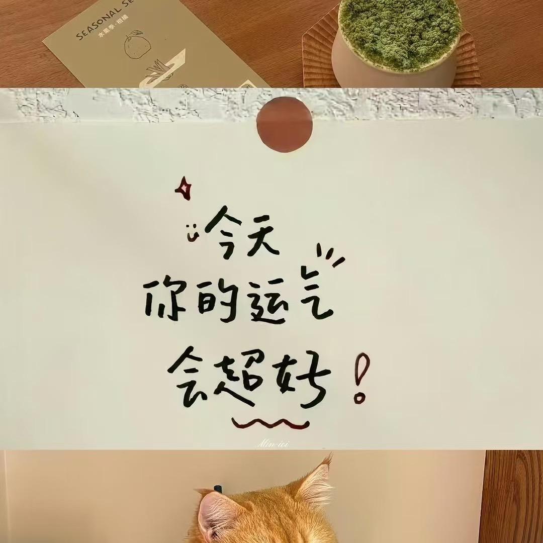 禾禾