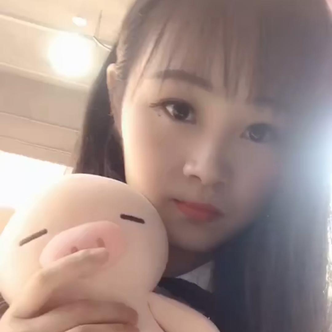 小向去哪儿