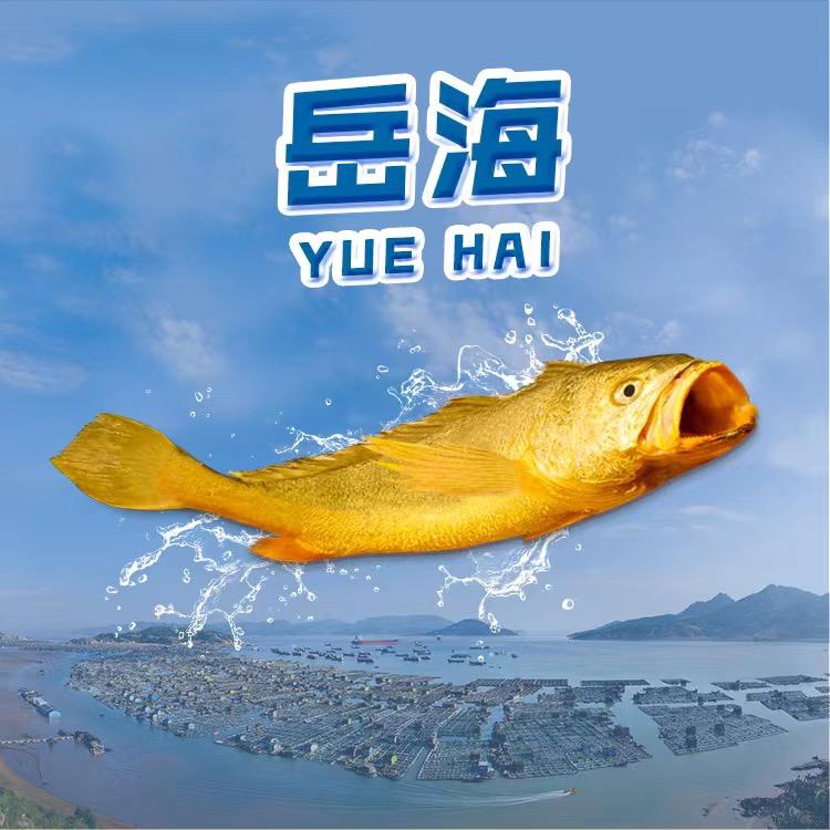 福建岳海水产食品有限公司