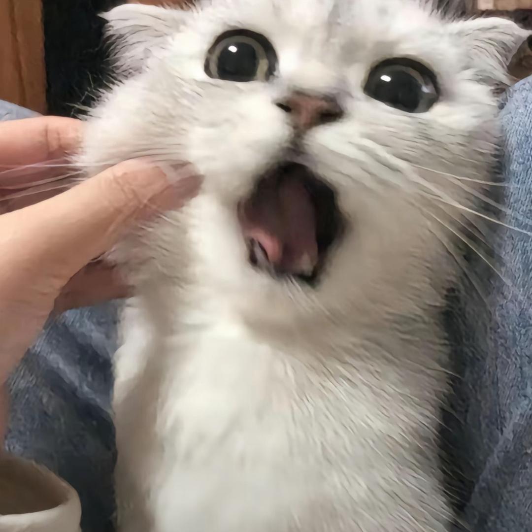 一条条条