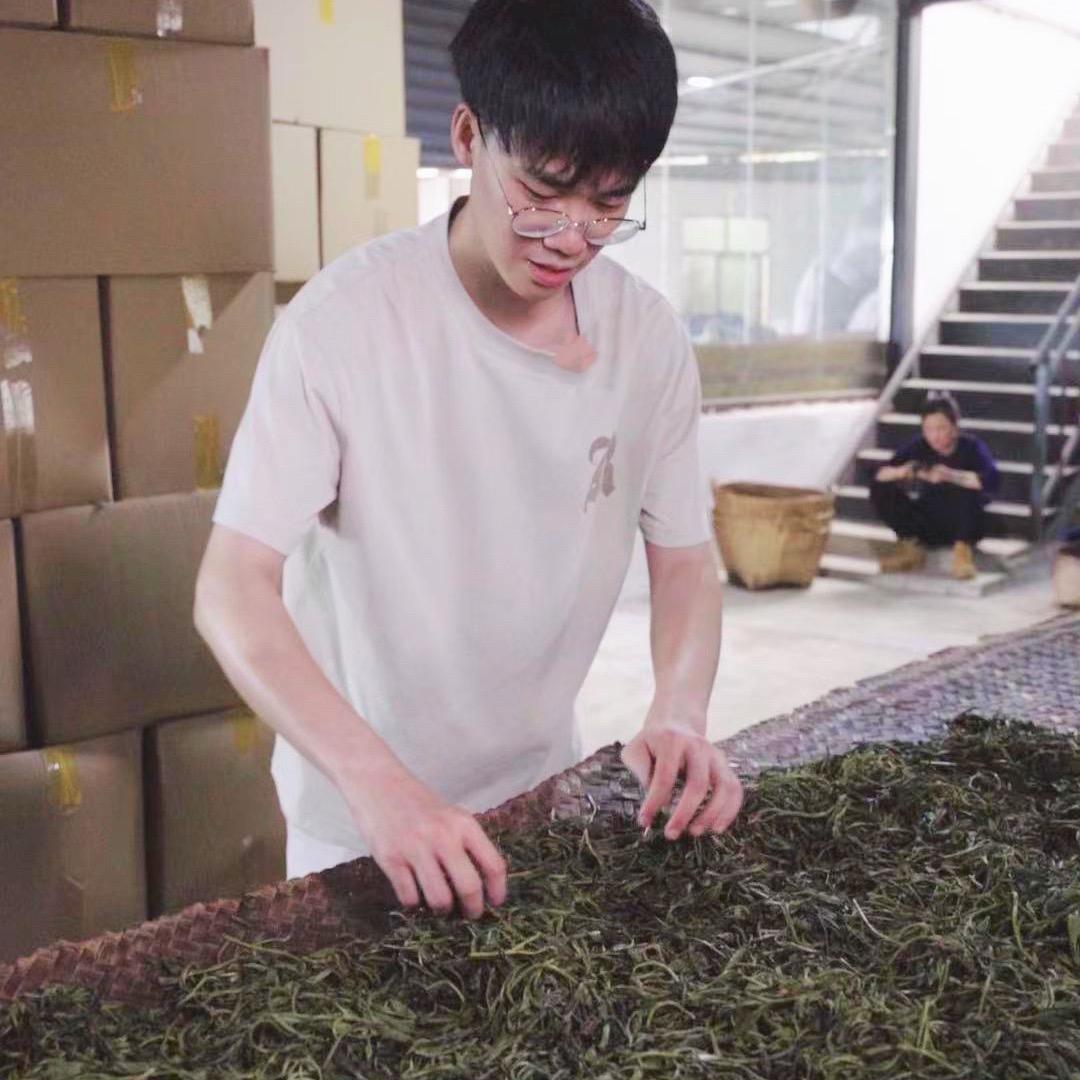 小陶喝好茶
