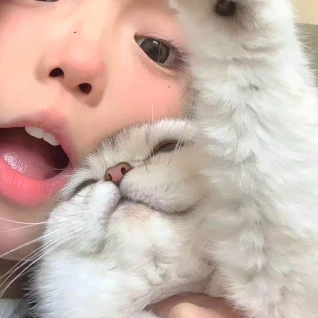 小謝没有钳～