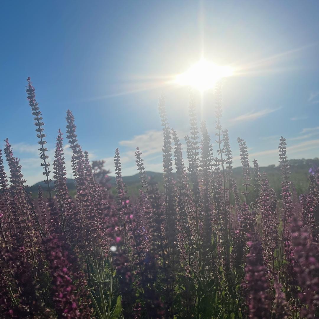 足光里～影院式足道养生会馆5163666