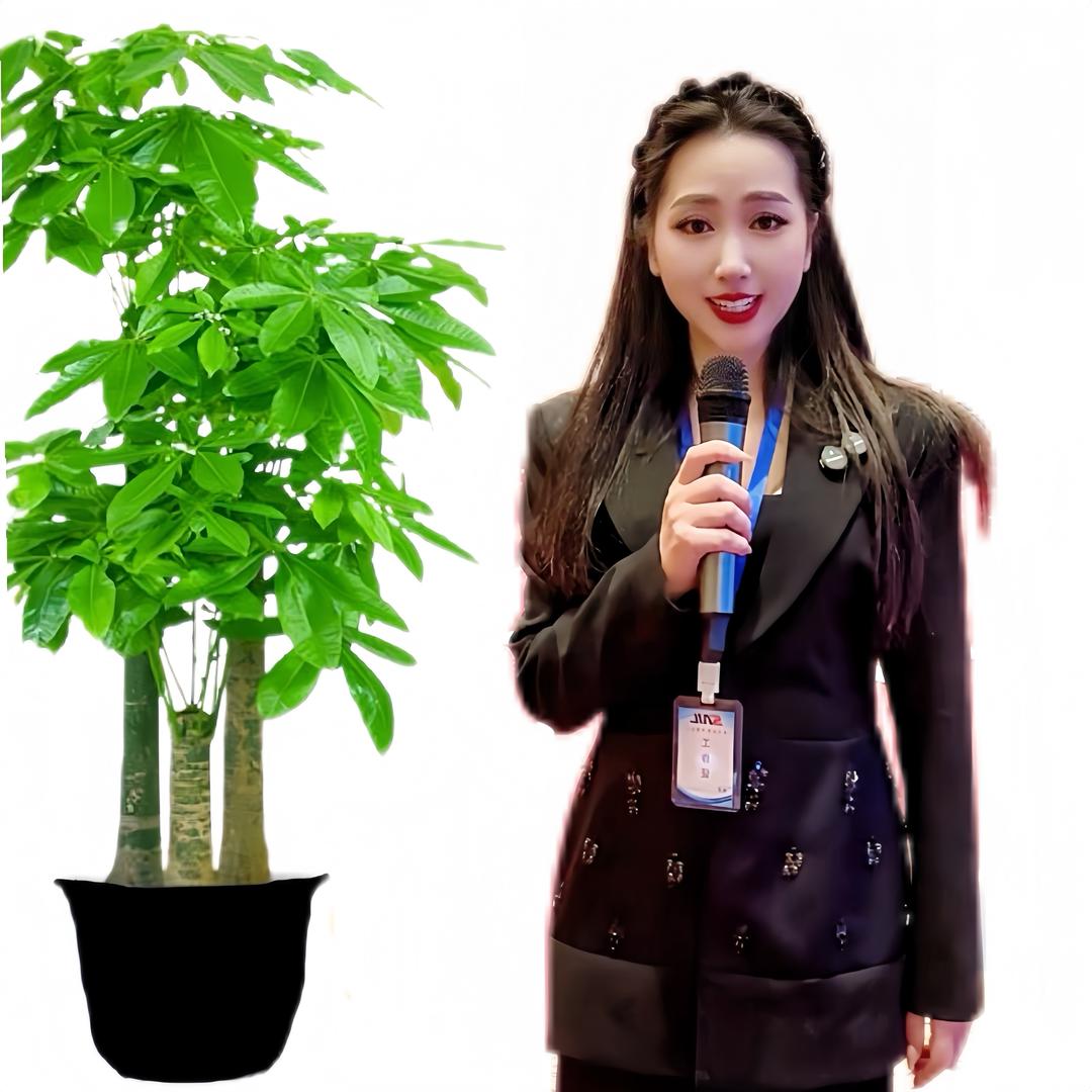 贵州雯姄⁴¹³