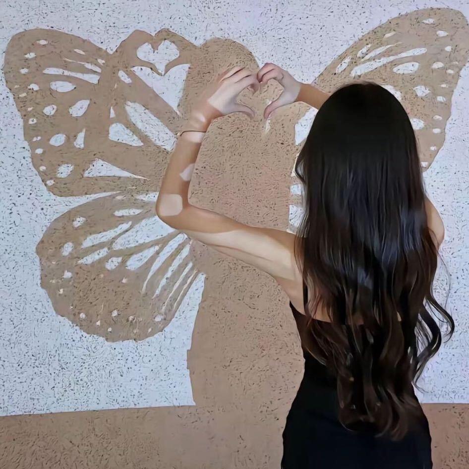 蕾蕾.