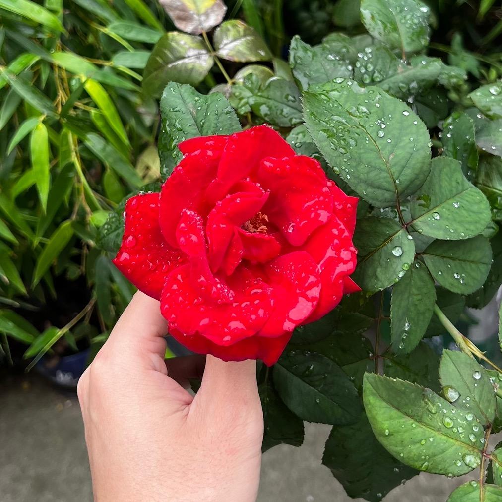 🈶1️⃣说1️⃣