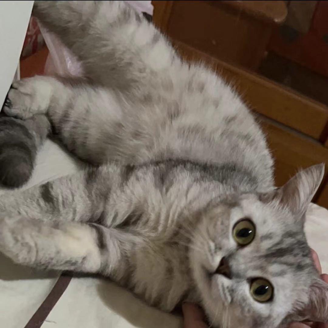 快快乐乐每一天🥳