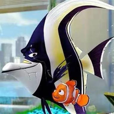 西沙海水总动员『吉哥』