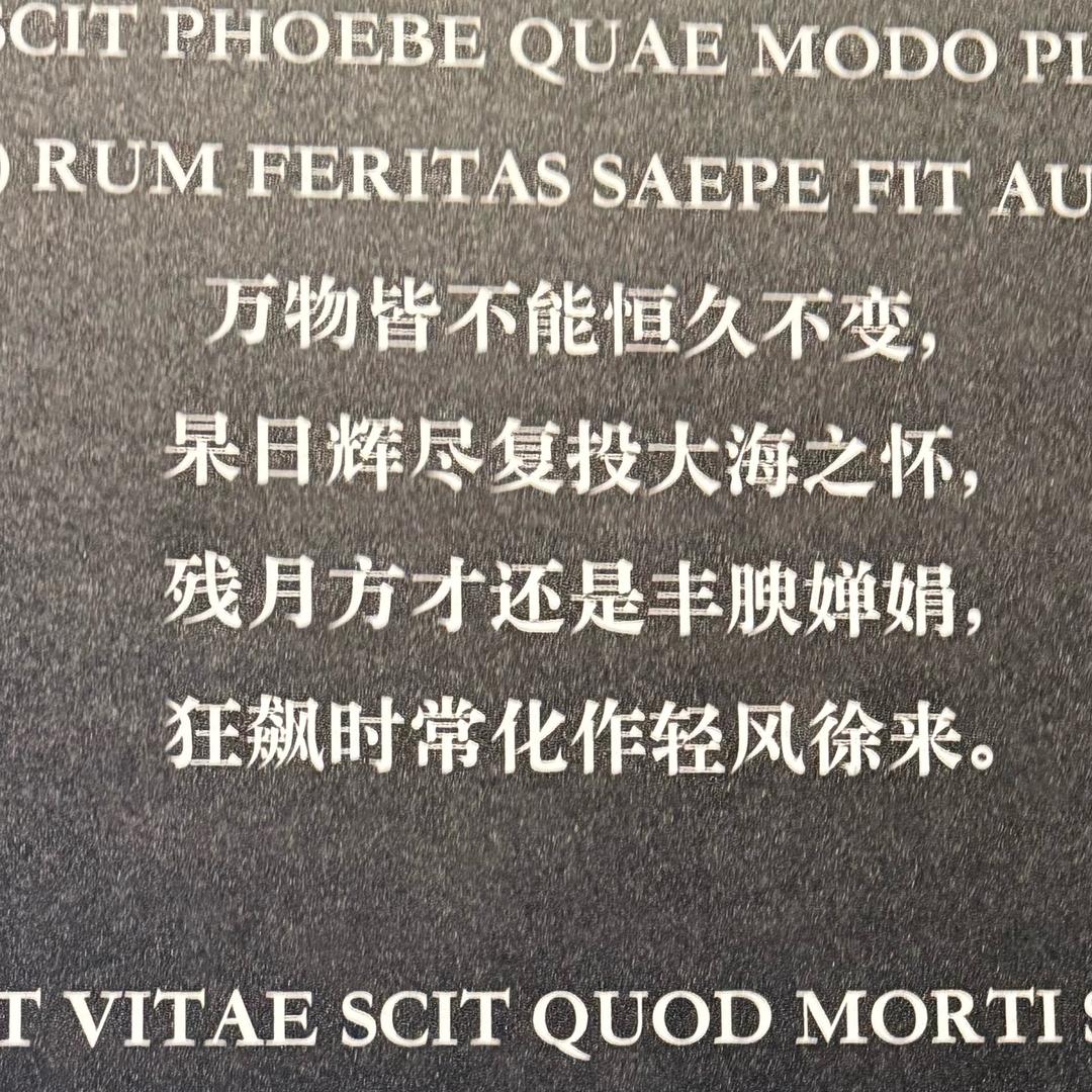 豪仔妈不要妈感