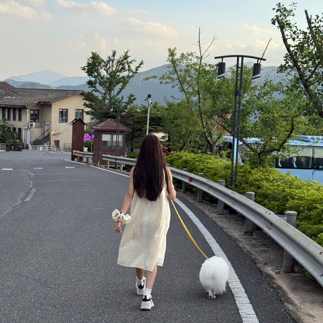 蛋宝🍭