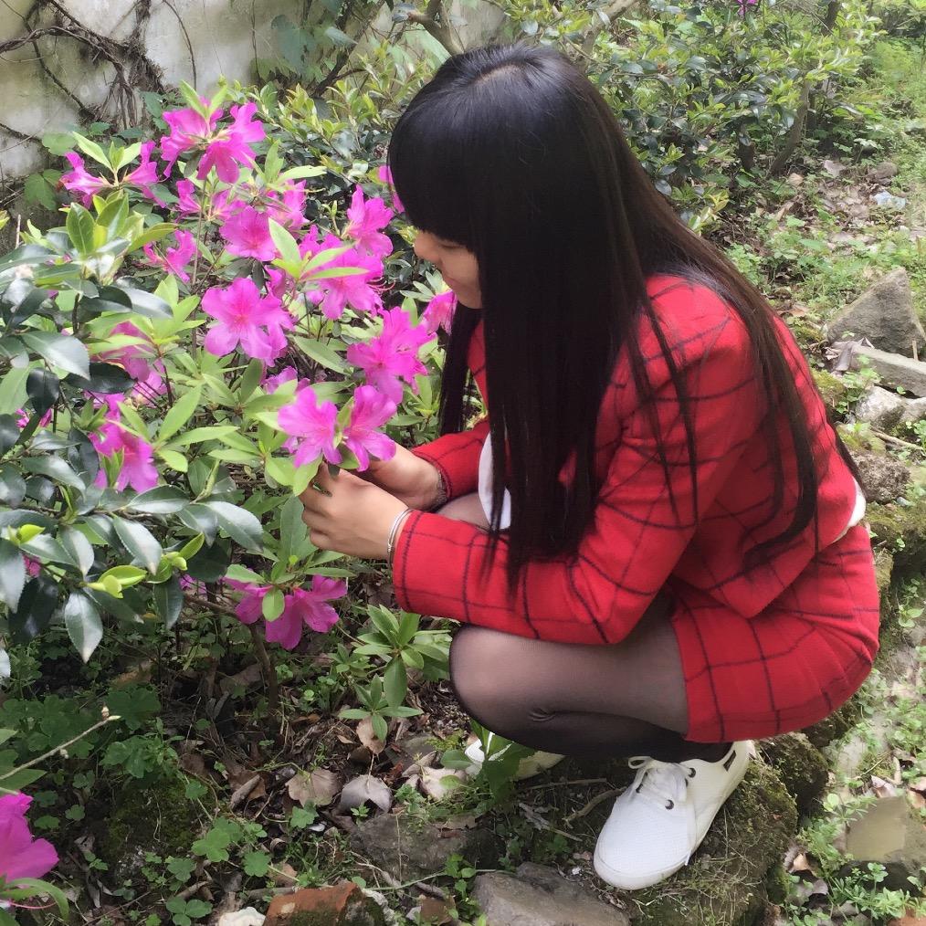 许家二姑娘