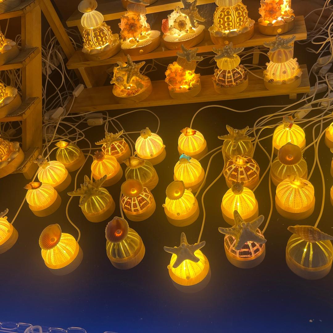 武汉舒盼花-小韩