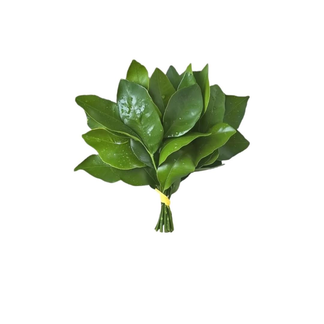 …Ｒ