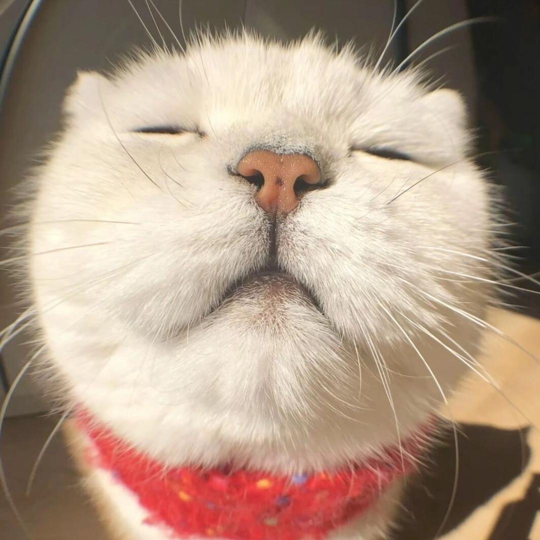 眼睛小怎麽了
