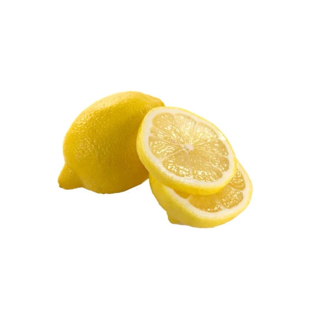 指甲盖