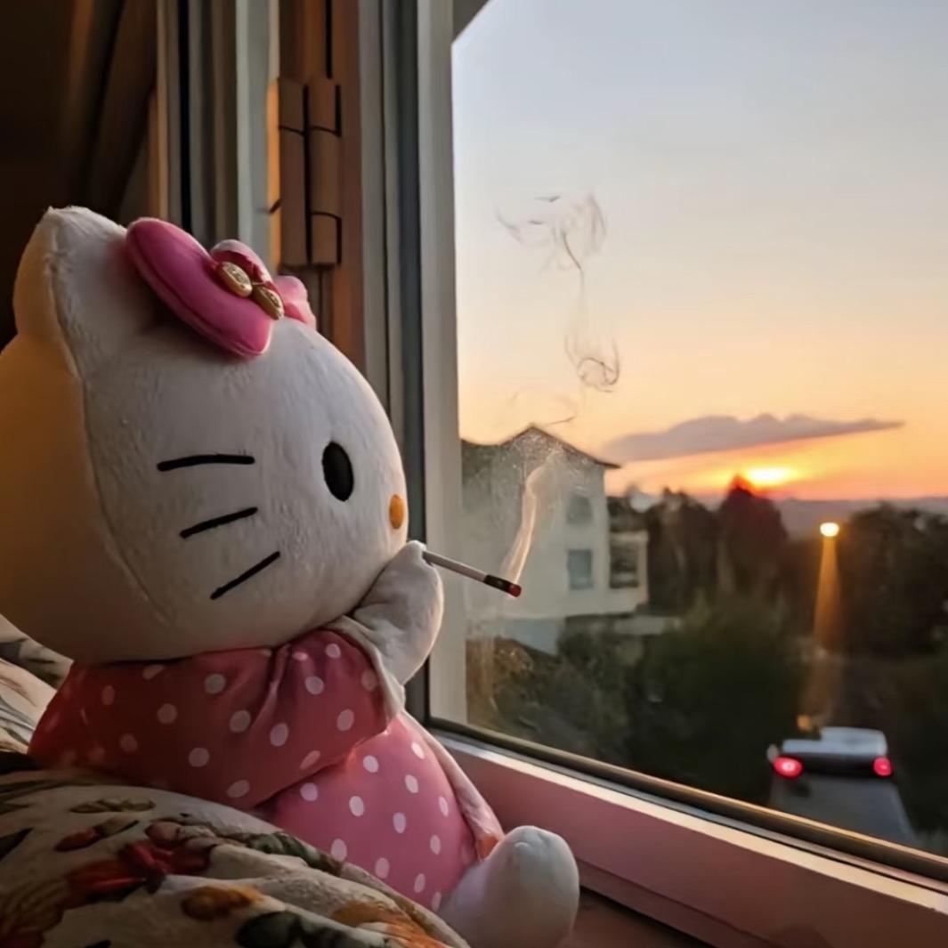 丁点猫