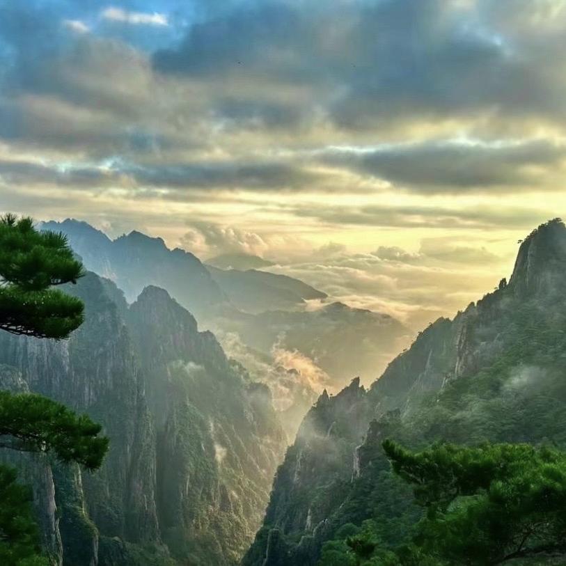 懂得都懂