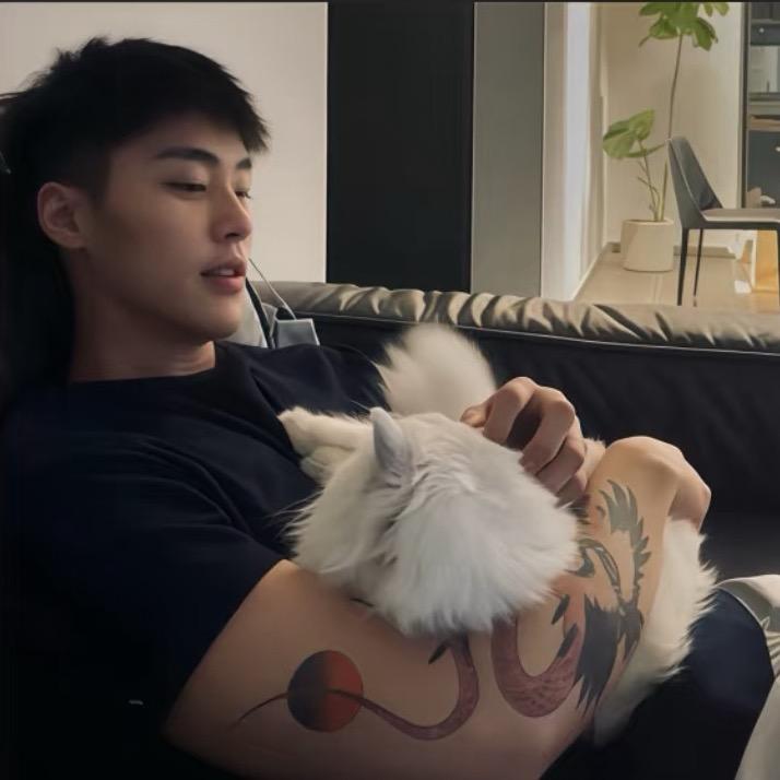 张子辰