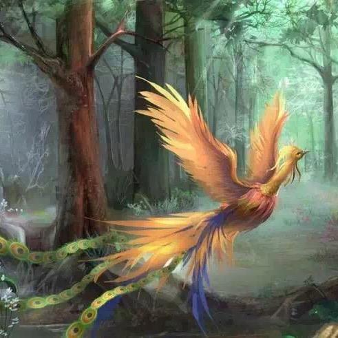 ℳ๓₯㎕浮生如梦