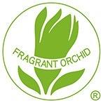 乡宁玉兰墙布窗帘