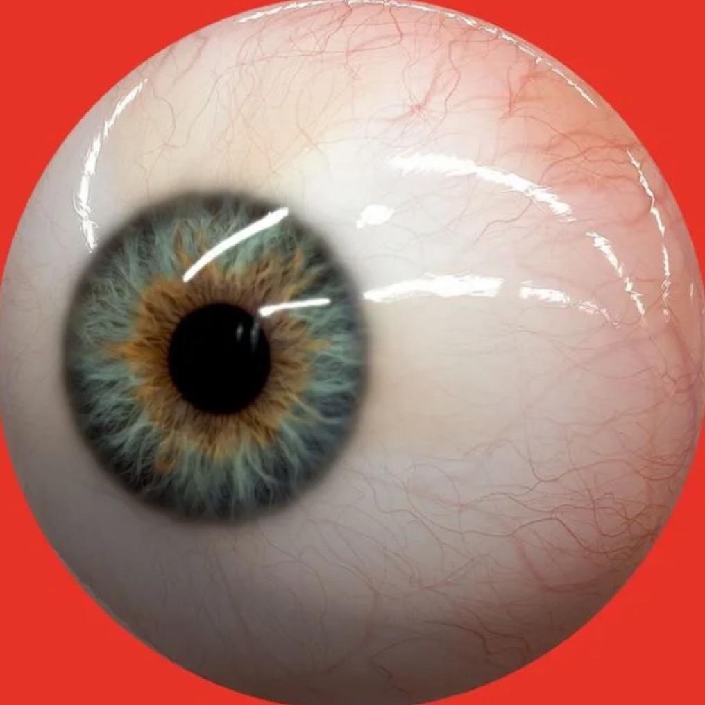 俺是一颗眼球