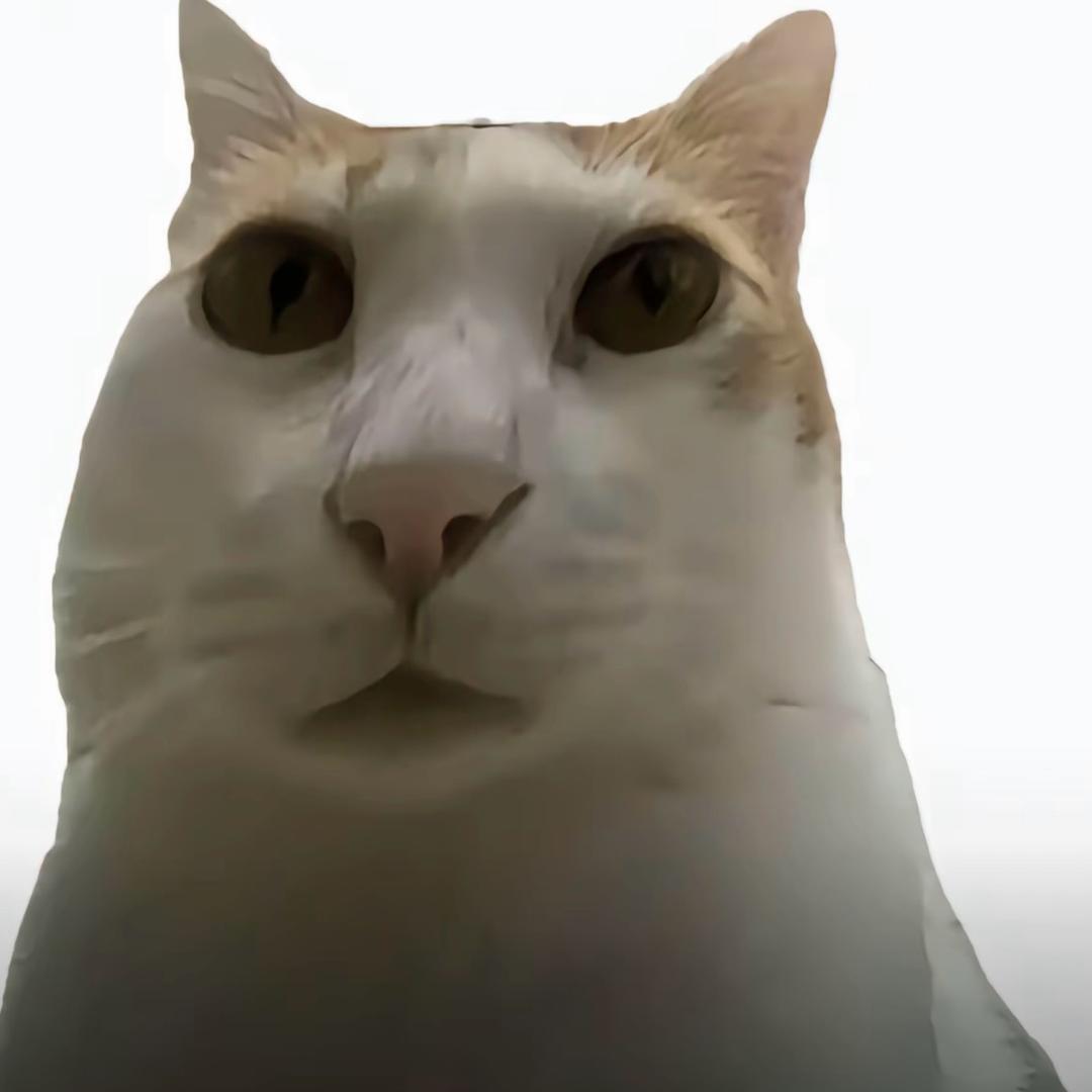 踉跄