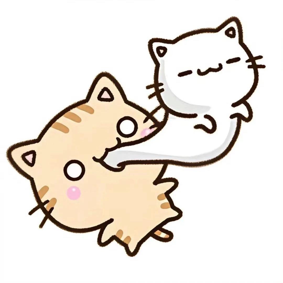 翅翅钵!˙ᗜ˙!