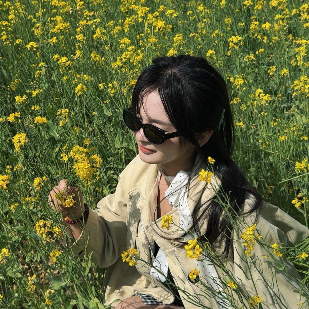 卷心菜.