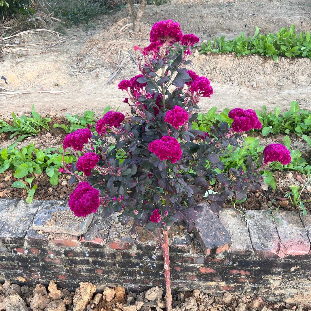 努力，做好自己