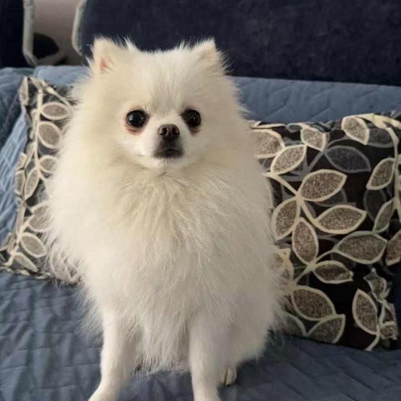 我是故意的ღ᭄ꦿ