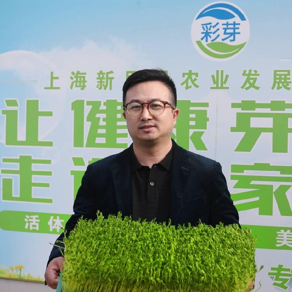陶老师花生芽