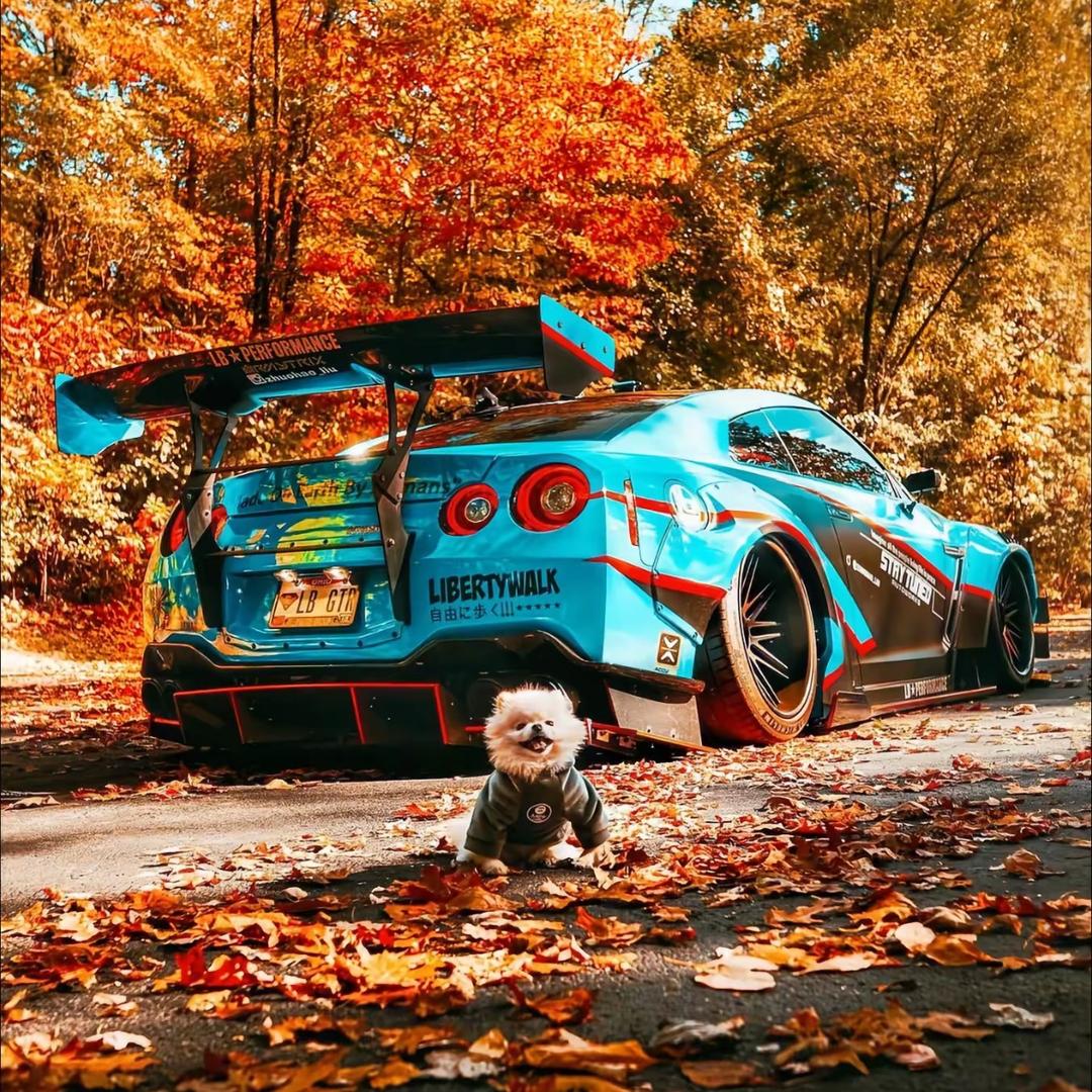 Mxxxxxx