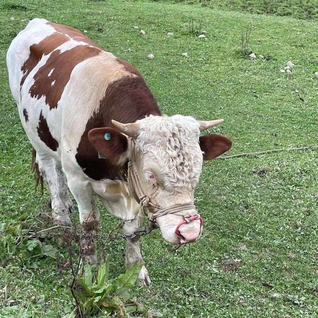 我的精神有问题