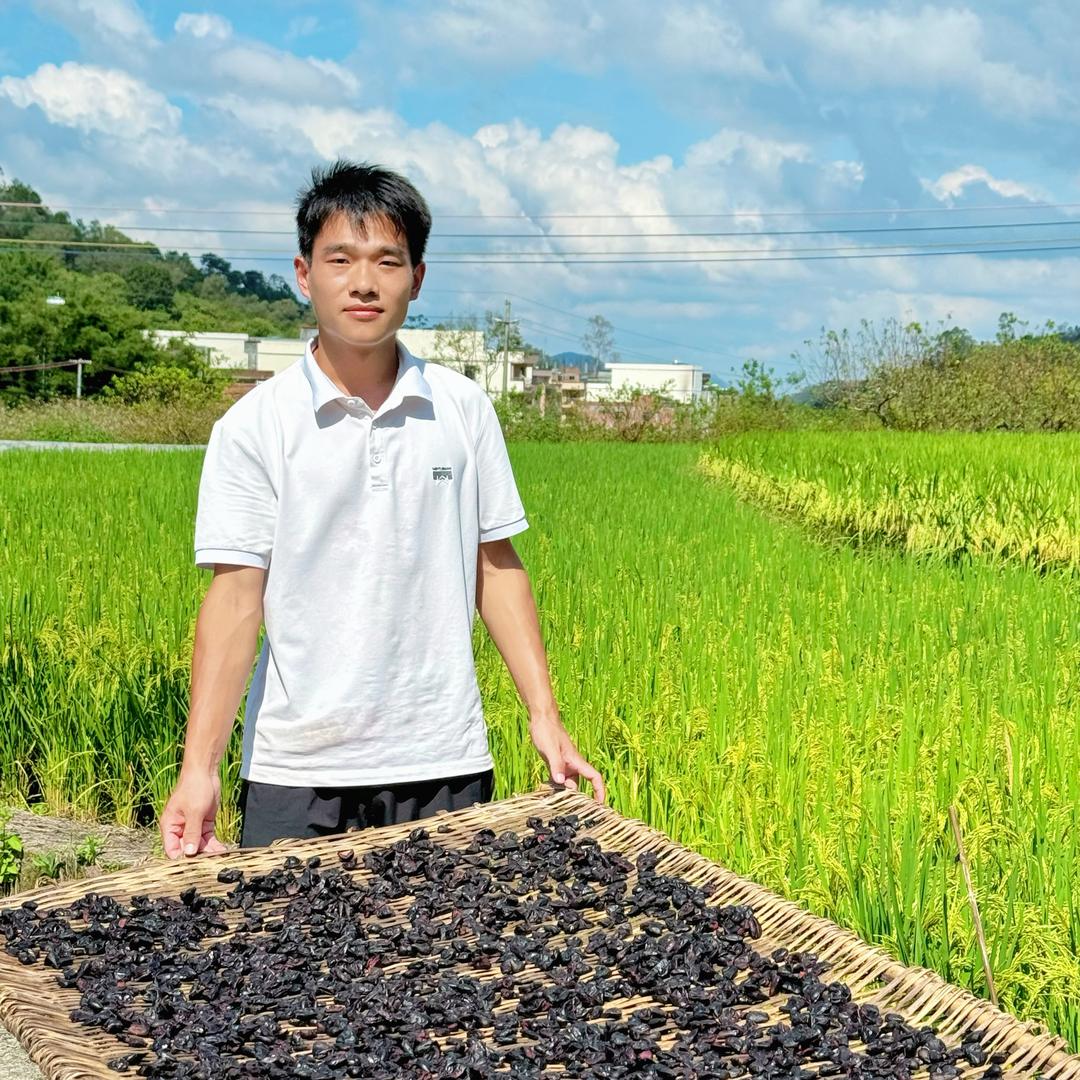 平塘榄角哥