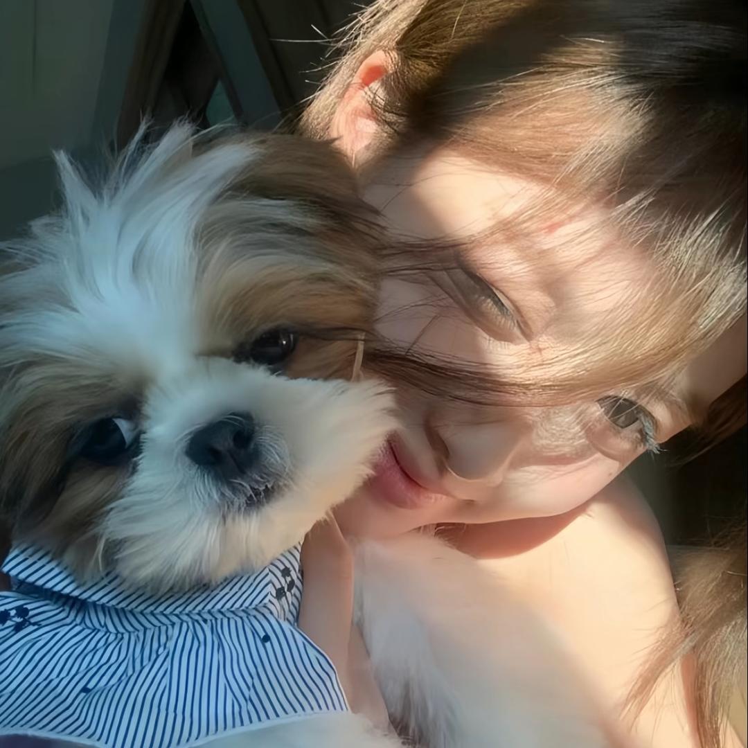 椰椰