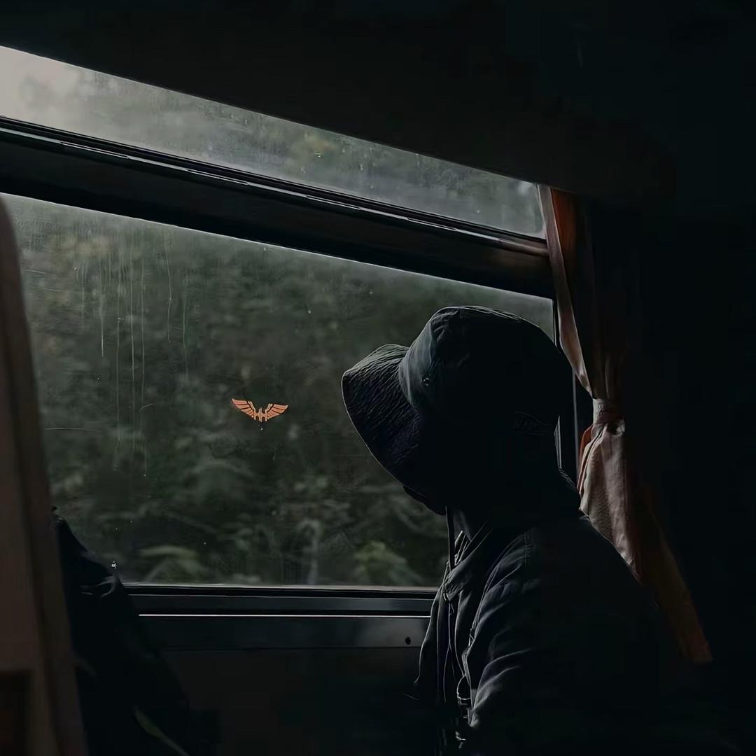 摄影师-野柒（接约拍📷）